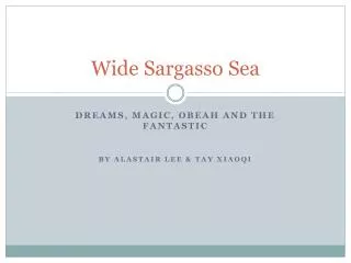 Wide Sargasso Sea