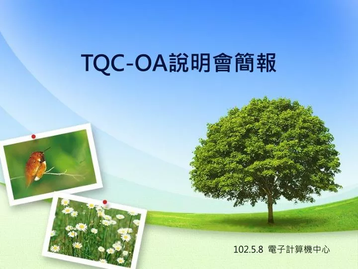 tqc oa