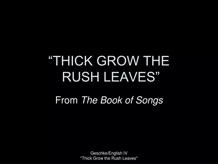 thick grow the rush leaves