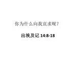 你为什么向我哀求呢？ - slide 1