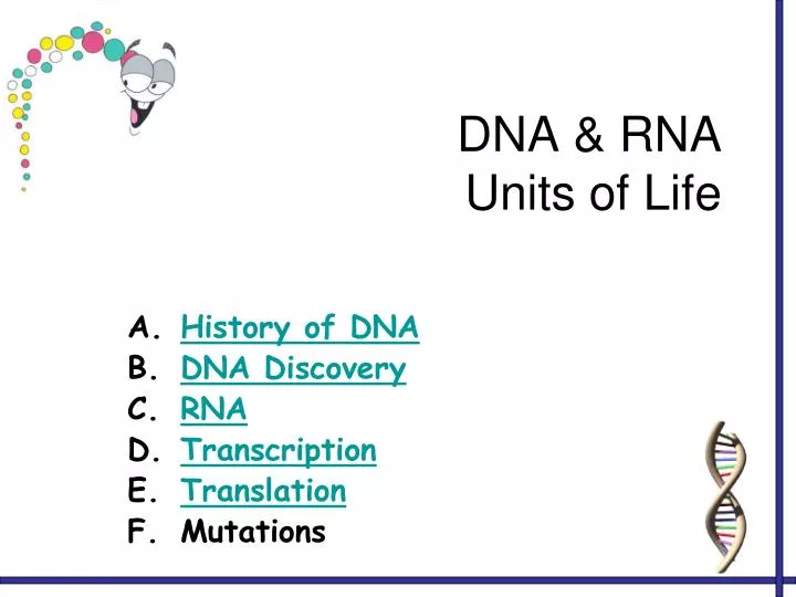 dna rna units of life