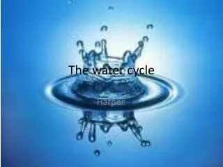 The water cycle