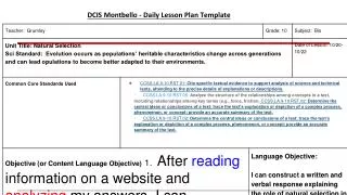 DCIS Montbello - Daily Lesson Plan Template