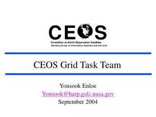 CEOS Grid Task Team