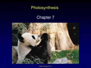 Photosynthesis