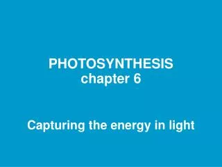 PHOTOSYNTHESIS chapter 6