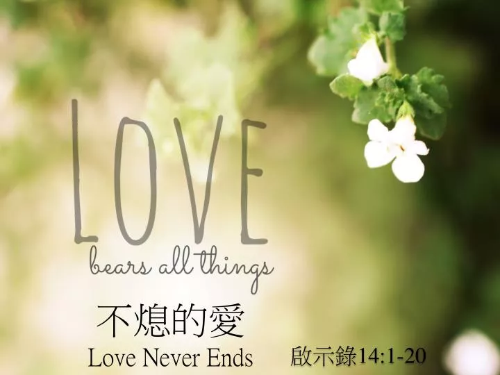 love never ends