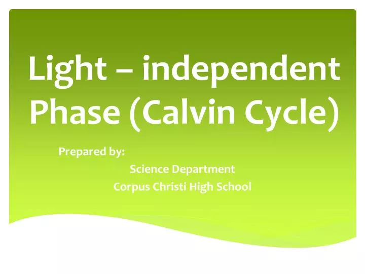 light independent phase calvin cycle