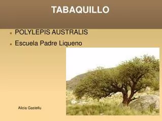 TABAQUILLO