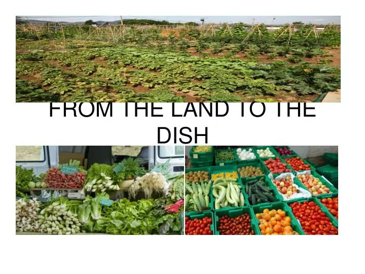 from the land to the dish