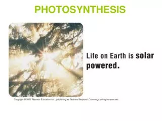 PHOTOSYNTHESIS