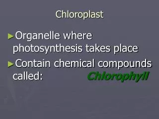 Chloroplast