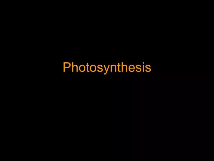 photosynthesis