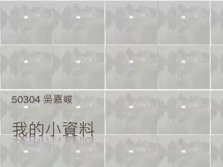50304