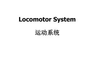 Locomotor System ????