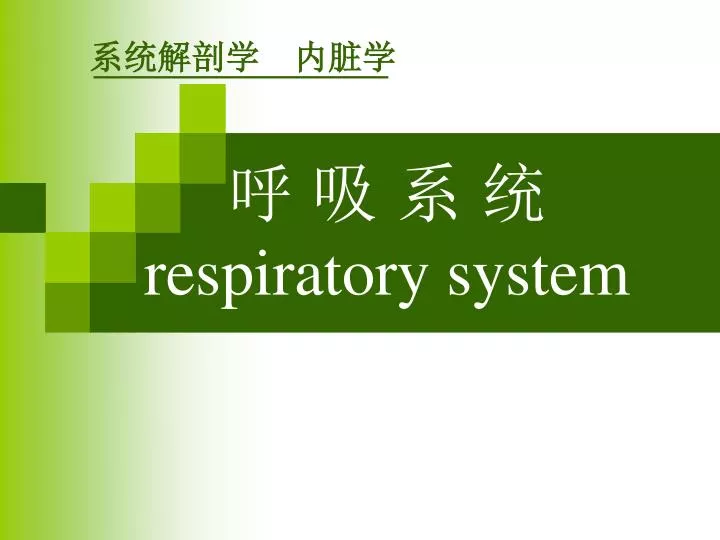 respiratory system