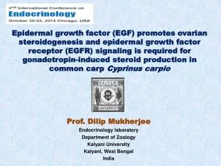 Prof. Dilip Mukherjee Endocrinology laboratory Department of Zoology Kalyani University