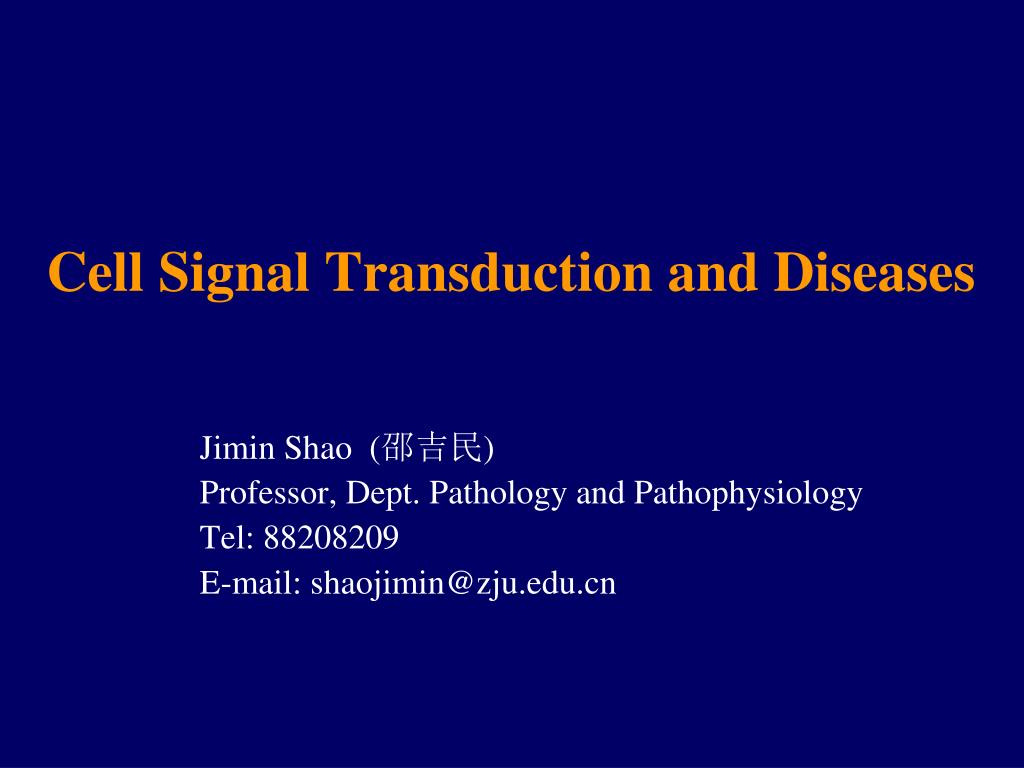 PPT - Cell Signal Transduction and Diseases PowerPoint Presentation ...