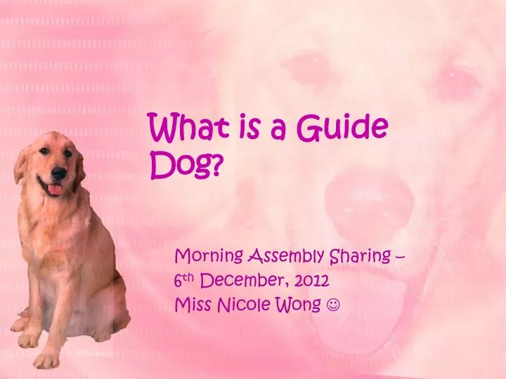 what is a guide dog