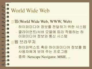 world wide web