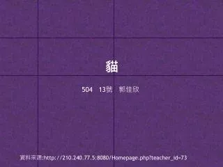 504 13