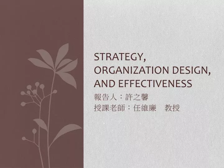 strategy organization design and effectiveness