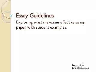Essay Guidelines