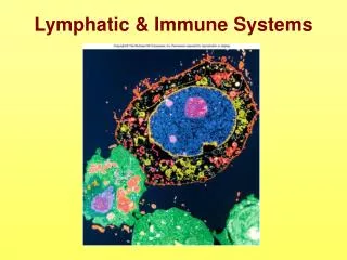 Lymphatic &amp; Immune Systems