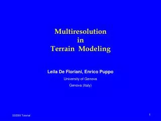 Multiresolution in Terrain Modeling