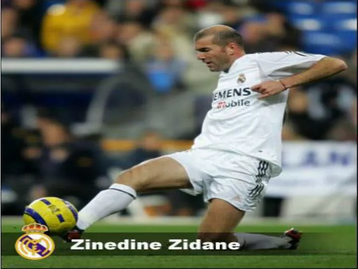 pr sentation of zinedine zidane