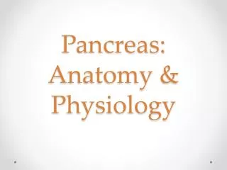 Pancreas: Anatomy &amp; Physiology