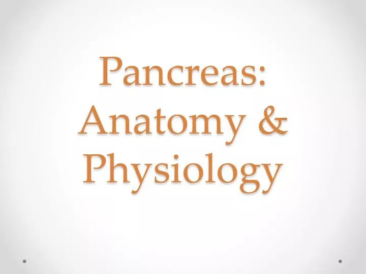 pancreas anatomy physiology