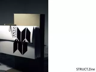 struct zine