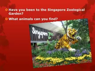 Have you been to the Singapore Zoological Garden? What animals can you find?