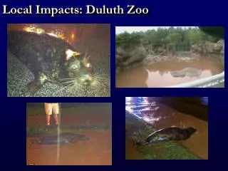 Local Impacts: Duluth Zoo