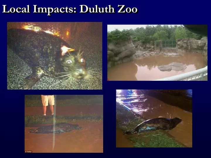 local impacts duluth zoo