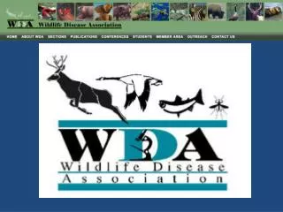 wildlifedisease /