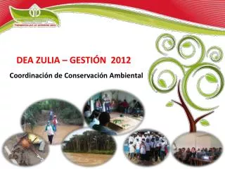 coordinaci n de conservaci n ambiental