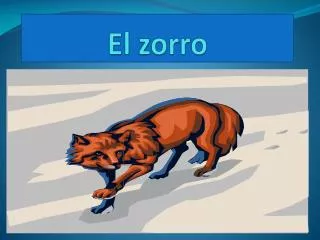 el zorro