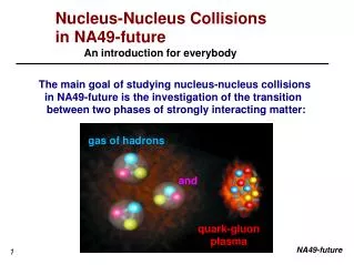 Nucleus-Nucleus Collisions in NA49-future