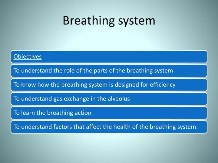 breathing system