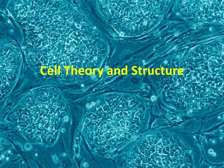 cell theory and structure