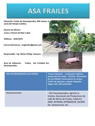 asa frailes