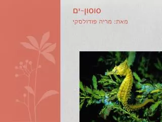 slide1