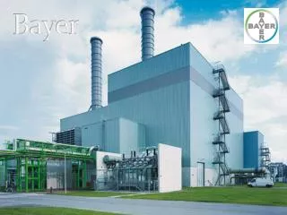 bayer