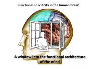 a window into the functional architecture of the mind