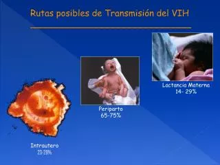 rutas posibles de transmisi n del vih