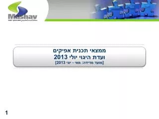2013 2013