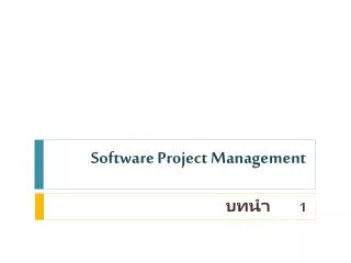 software project management