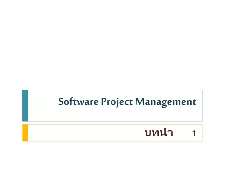 software project management